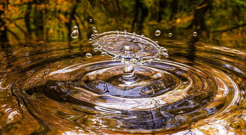 Día Mundial del Agua
